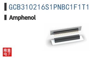 GCB310216S1PNBC1F1T1