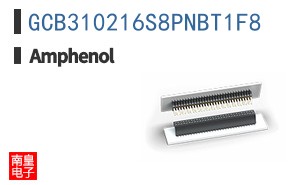 GCB310216S8PNBT1F8