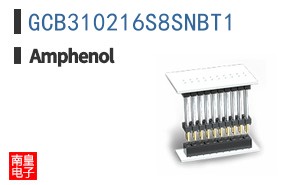 GCB310216S8SNBT1