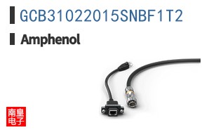 GCB31022015SNBF1T2