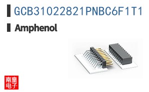 GCB31022821PNBC6F1T1