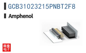 GCB31023215PNBT2F8