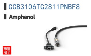 GCB3106TG2811PNBF8
