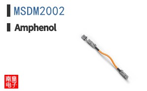 MSDM2002