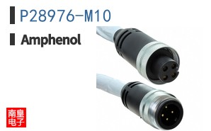 P28976-M10