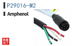 P29016-M2