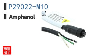 P29022-M10