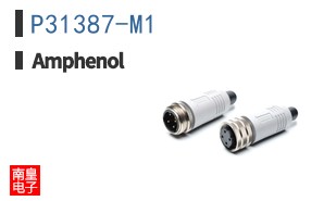 P31387-M1