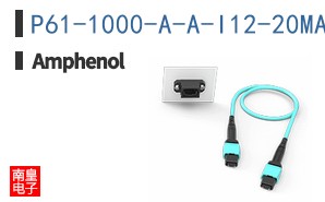P61-1000-A-A-I12-20MA-A