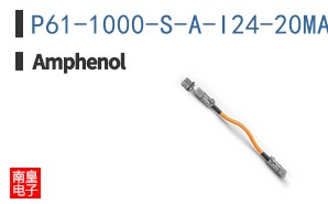 P61-1000-S-A-I24-20MA-A