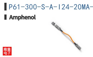 P61-300-S-A-I24-20MA-C
