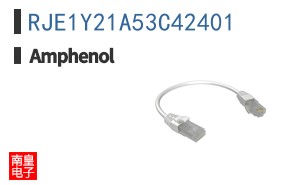 RJE1Y21A53C42401