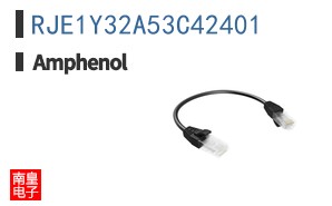 RJE1Y32A53C42401