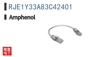 RJE1Y33A83C42401