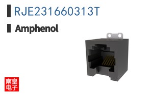 RJE231660313T