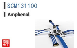 SCM131100