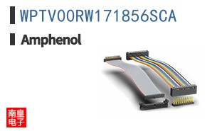 WPTV00RW171856SCA