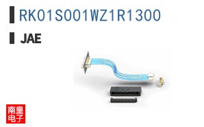 RK01S001WZ1R1300