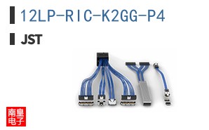 12LP-RIC-K2GG-P4