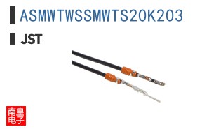 ASMWTWSSMWTS20K203