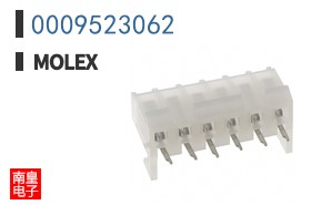 0009523062