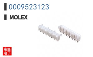 0009523123
