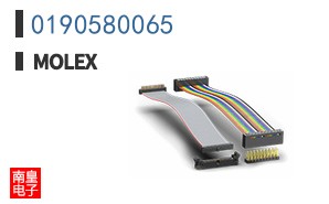 0190580065