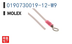 0190730019-12-W9
