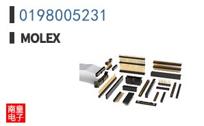 0198005231