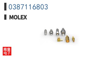 0387116803