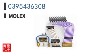 0395436308