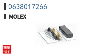 0638017266