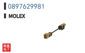 0897629981