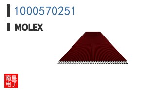 1000570251