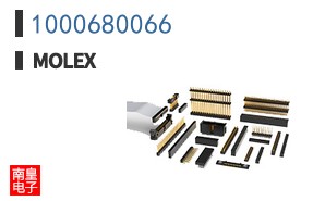1000680066