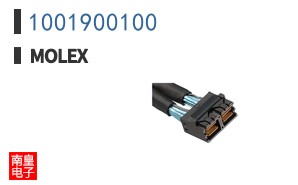 1001900100