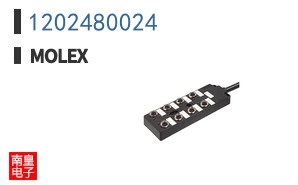 1202480024