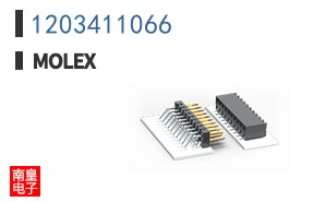 1203411066