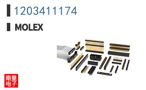 1203411174