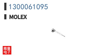 1300061095