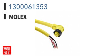 1300061353