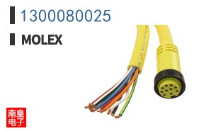 1300080025