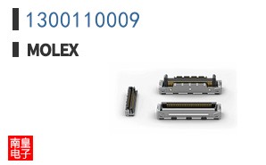 1300110009
