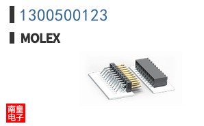 1300500123