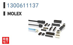 1300611137