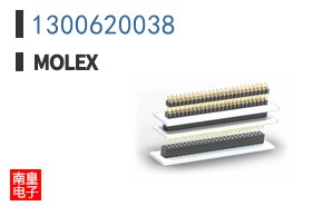 1300620038