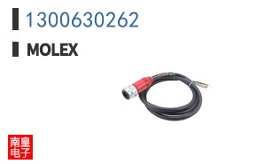 1300630262
