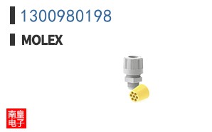 1300980198