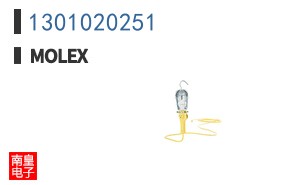 1301020251