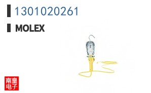1301020261